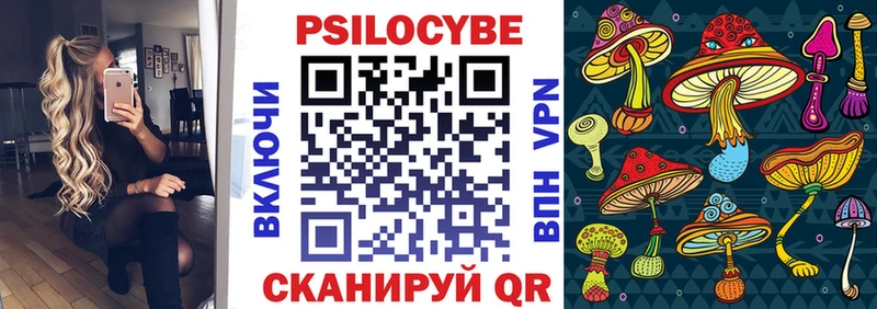 хочу   Югорск  Галлюциногенные грибы Cubensis 